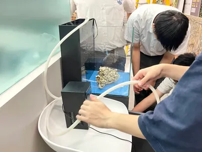 海洋缸組裝