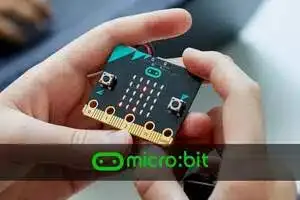 Micro:bit card