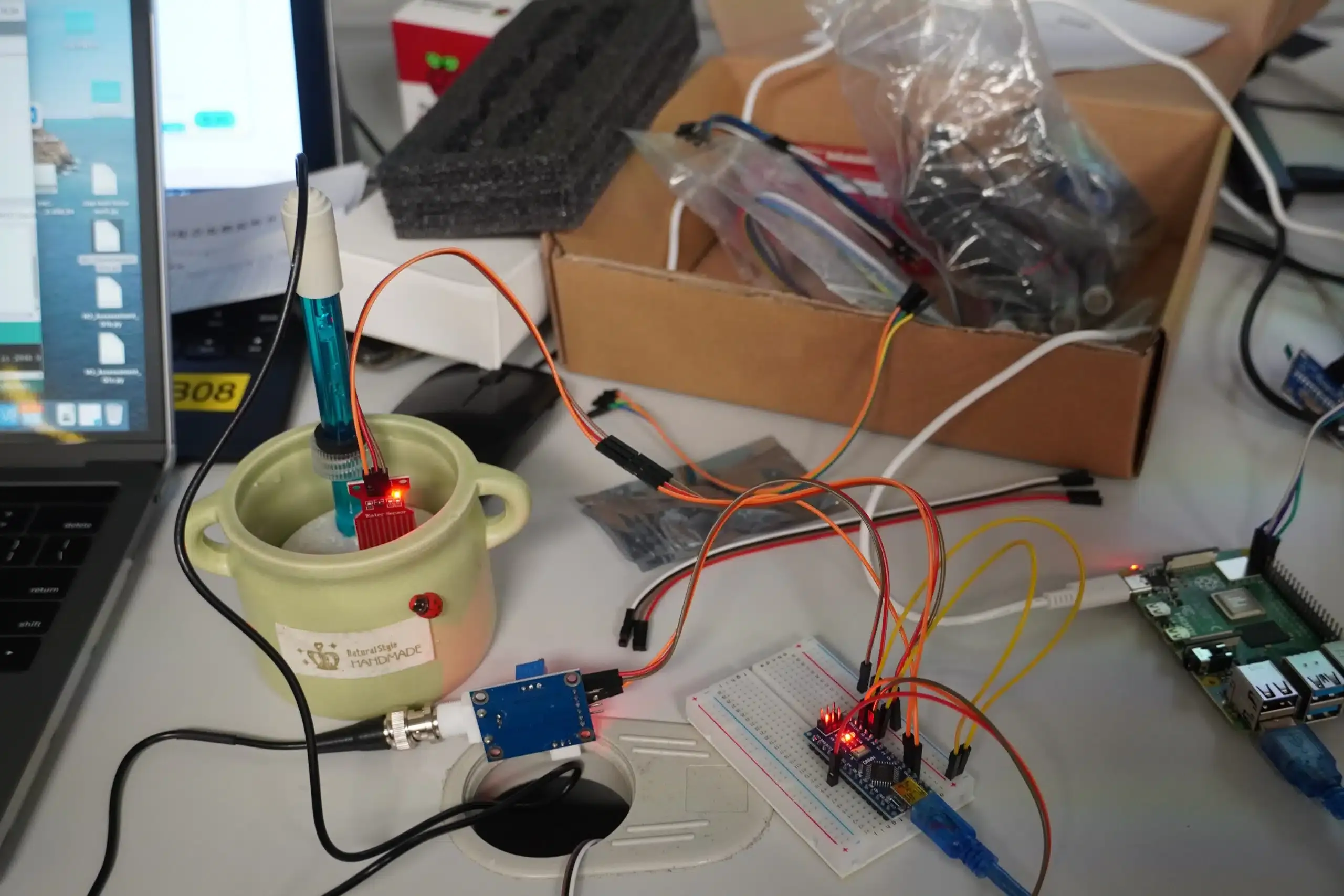 Raspberry Pi wiring