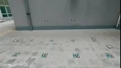 群飛匯演
